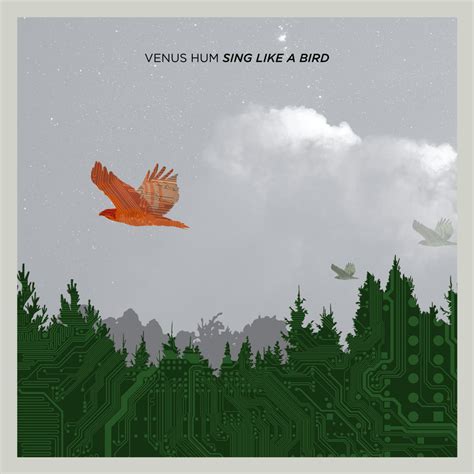 Sing Like A Bird | Venus Hum