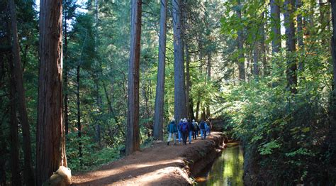 Hiking & Local Trails - Nevada City California