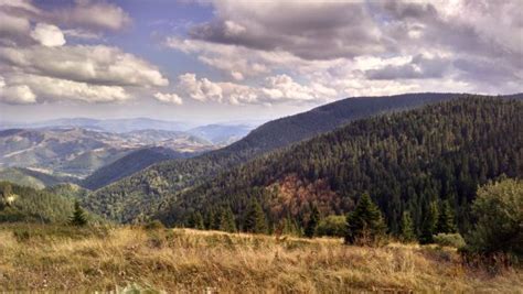 Kopaonik National Park - 2020 All You Need to Know BEFORE You Go (with Photos) - Tripadvisor