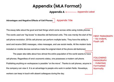 How to Write Appendix in Essay? Format | Process | Tips | Examples