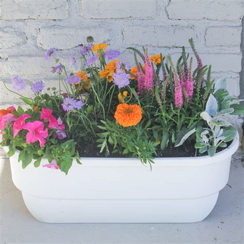 Prep In Your Step: My Tips For Planting Pretty Flower Boxes