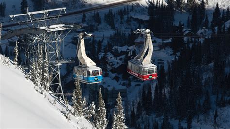 Snowbird Resort - Resort Guide - POWDER Magazine