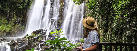 Waterfalls and Rainforest Tour | Cairns Discovery Tours