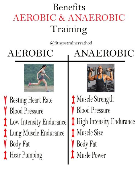 Aerobic and Anaerobic Training | Aerobics, Aerobic exercise, Fitness inspiration body