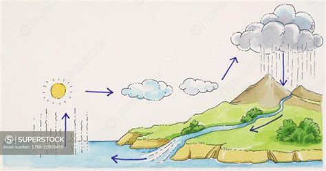 Evaporation Diagram For Kids