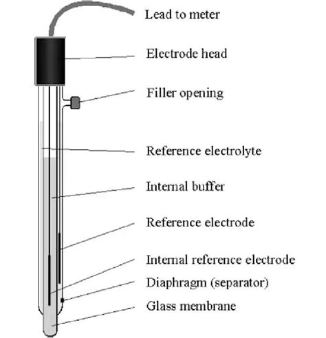 pH Meter: Parts, Principle, and Applications • Microbe Online