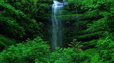 Green Forest Waterfall 4k Ultra 高清壁纸 | 桌面背景 | 3840x2160 | ID:787324 ...