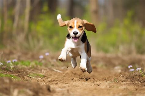 Premium AI Image | Cute Beagle Playing Outdoor And Copy Space