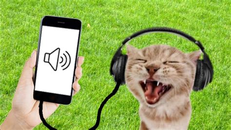 Sound Cats Can Only Hear (GUARANTEED) - YouTube