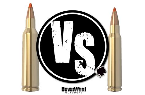 .22-250 vs .223 | DownWind Outdoors