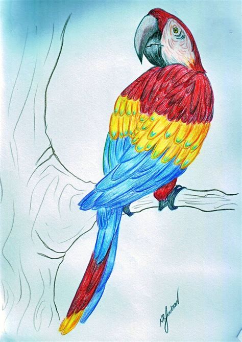 Drawings with primary colors | Colorful drawings, Color drawing art, Watercolor art lessons