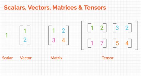 Linear Algebra for Data Science Ep1 — Introduction to Vectors and Matrices using Python | by ...