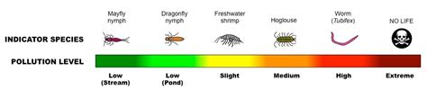 G4 Conservation of Biodiversity | BioNinja