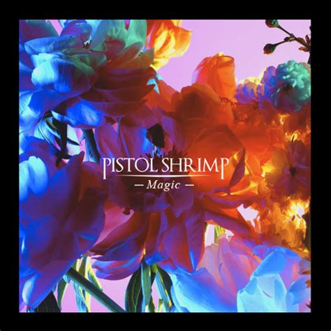 Stream Magic (Coldplay Cover) by Pistol Shrimp | Listen online for free ...