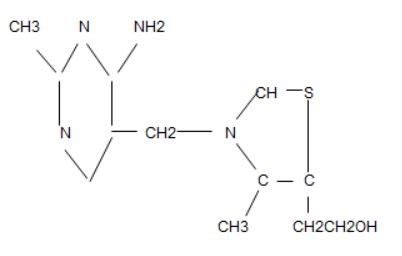 Navigating Thiamine Supplements- Hormones Matter