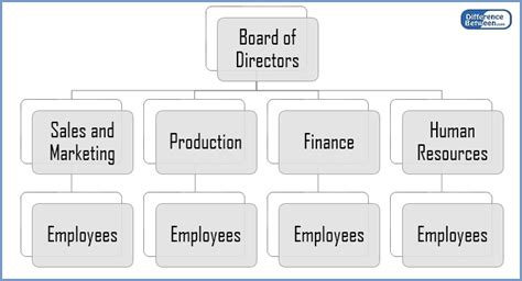 Difference Between Matrix and Functional Structure | Compare the Difference Between Similar Terms