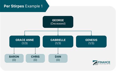 Per Stirpes | Definition, How It Works, Examples, & Importance