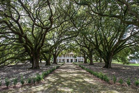 Whitney Plantation Tour with Transportation from New Orleans 2024