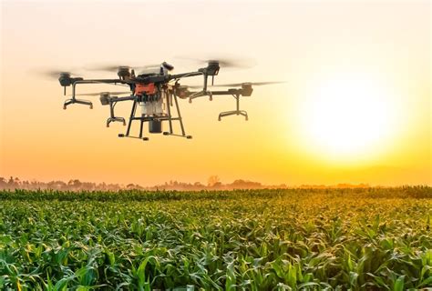 Drones now sprinkle crops and monitor the lands as Moldovan farmers ...