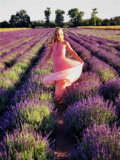 Lavender field photoshoot | Lavender fields, Photography, Outdoor