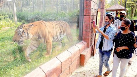 Mumbai: Byculla Zoo to expand by 10 acres for new animals