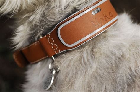 Link My Pet Smart Collar | GPS Dog Collar | Activity Monitor for Dogs ...