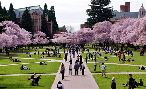 University of Washington-Seattle Campus - Seattle, WA