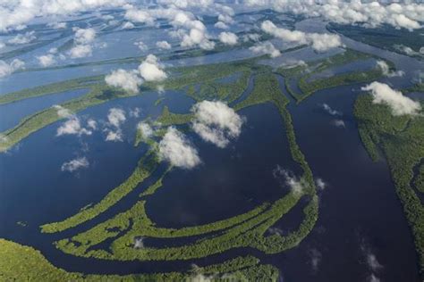 'Aerial of Amazon River Basin, Manaus, Brazil' Premium Photographic Print - Art Wolfe ...