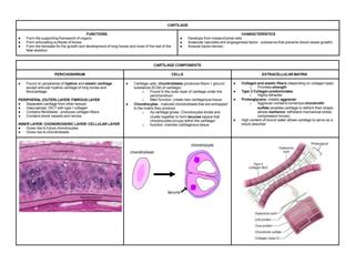 HISTOLOGY CARTILAGE | PPT