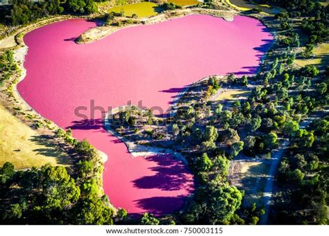 Aerial View Pink Lake Melbourne Australia Stock Photo (Edit Now) 750003115