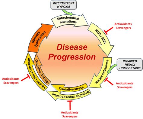 There is compelling evidence that also mitochondrial function is affected in Rett syndrome and ...