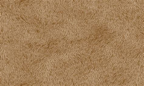 Seamless Fur Texture