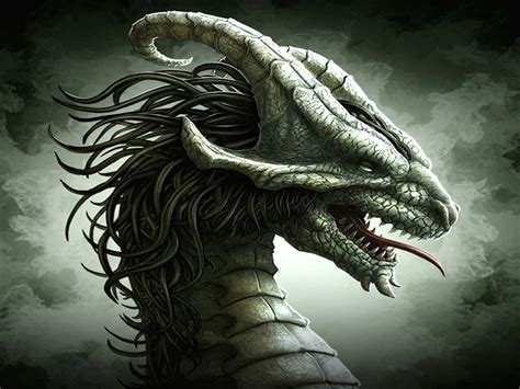 3D Dragon Wallpapers – WeNeedFun