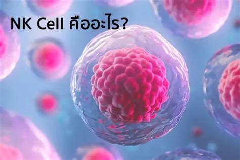 IMMUNE SYSTEM & NK CELL - dotstemcell