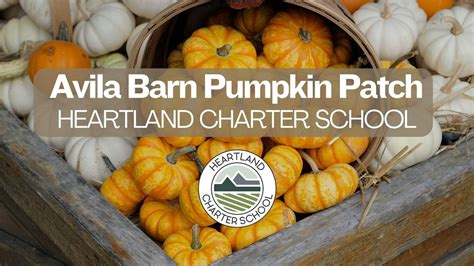 Avila Valley Barn pumpkin patch-Heartland Charter School, Avila Valley Barn, San Luis Obispo, 10 ...