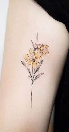 Daffodil Tattoos: Meanings, Tattoo Designs & Ideas | Daffodil tattoo, Birth flower tattoos, Tattoos