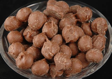 1 lb. Peanuts – Milk Chocolate Covered – Ohio Peanut Shoppe