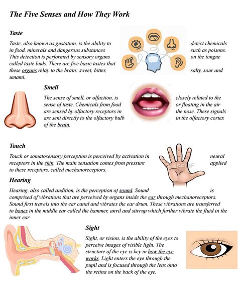 psychology exam by ashlyG - Issuu