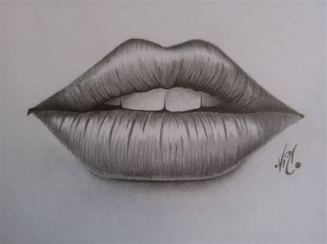 Boca Labios Dibujo Lapiz Estilos De Labios