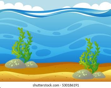 Clipart Ocean Underwater