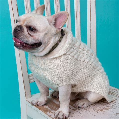 26 Free Crochet Dog Sweater Patterns | Guide Patterns