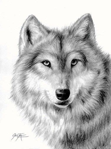 Wolf pencil drawing limited edition print by ONETA by 2ndMoon, $30.00 ...