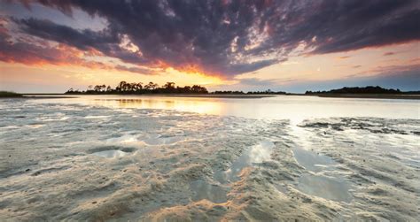 Best Cedar Key Beaches