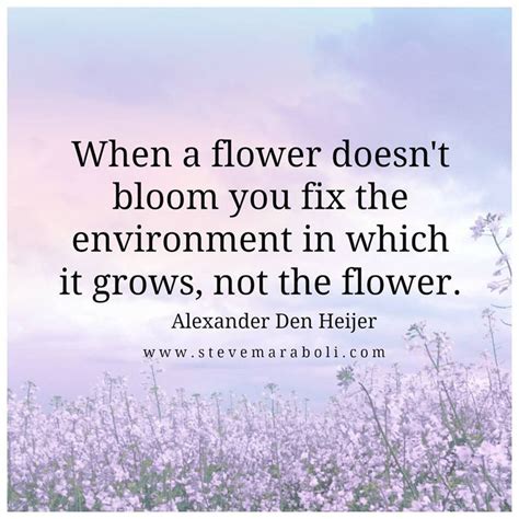 When a flower doesn't bloom you fix the environment in which it grows, not the flower. | Bloom ...