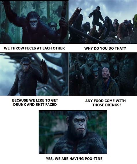 Funny Pics I Made: Apes Joke