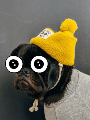 Cute Puppy Dog Eyes Gif