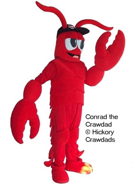 Hickory Crawdads Conrad Mascot Costume