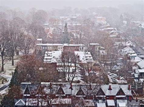 Photos of snowy Toronto