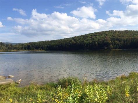 Spruce Knob Lake, one unique fishery - WV MetroNews