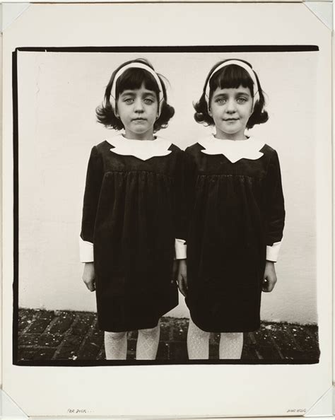 Identical Twins, Roselle, N.J. | The Art Institute of Chicago